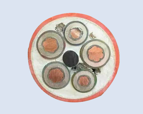 礦物質(zhì)絕緣電纜 1