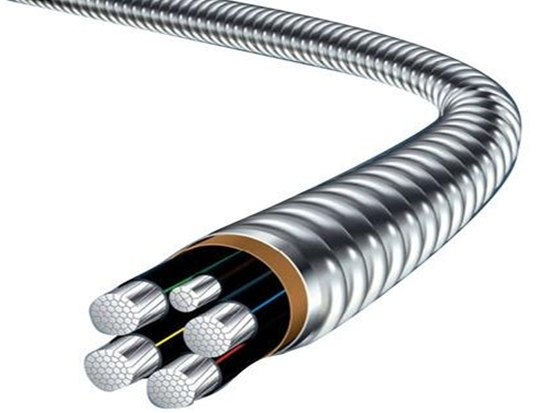 稀土高鐵鋁合金電纜 4